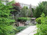 Back Garden